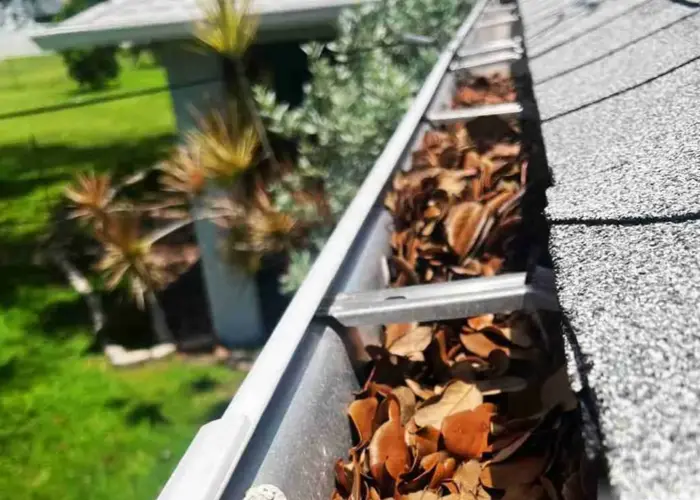 Zionsville gutter cleaning home page
